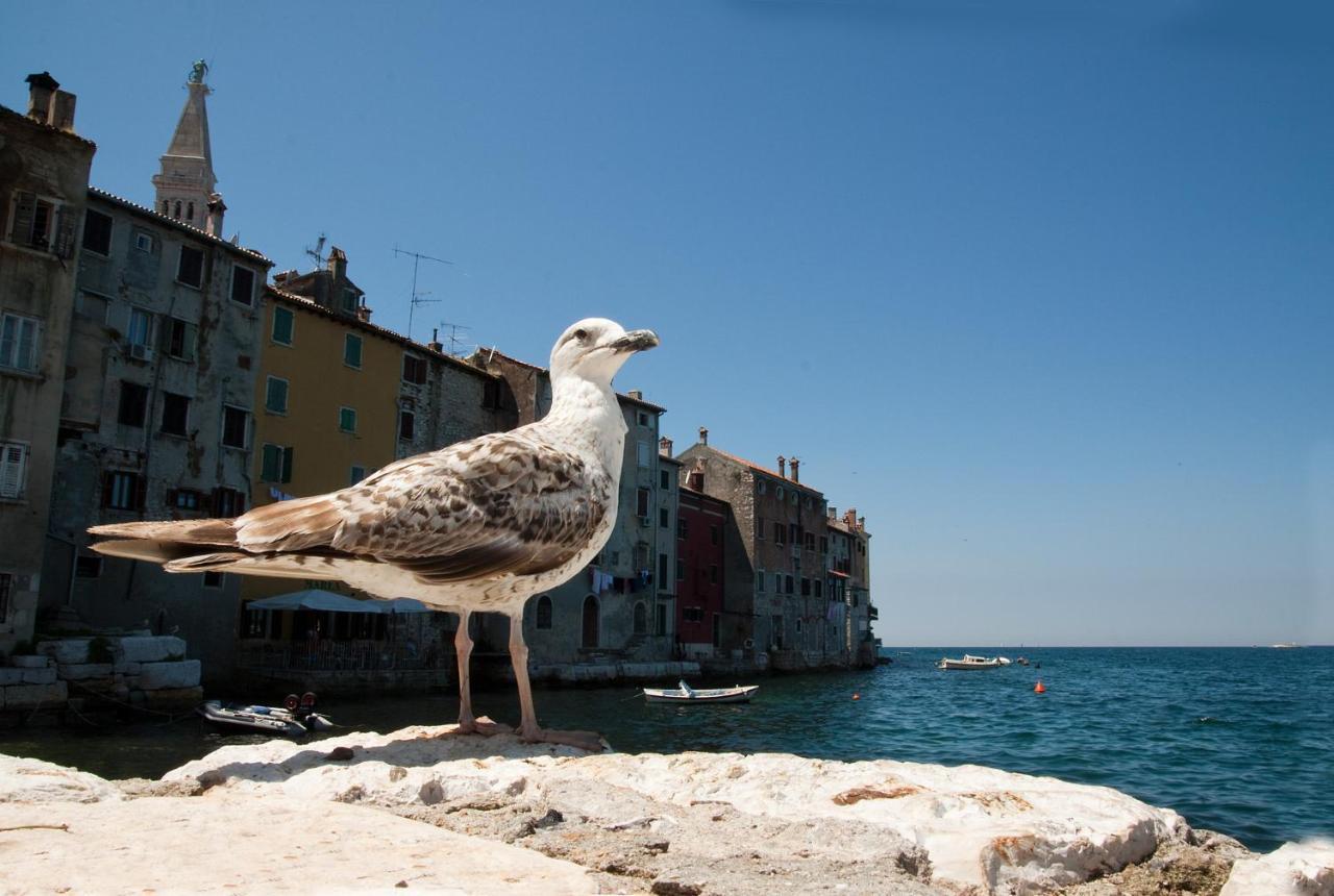 Apartmán Maximus Rovinj Exteriér fotografie